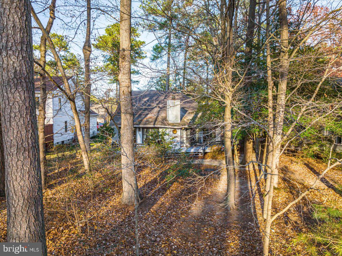 6 Battersea Road Ocean Pines, MD 21811 - Photo 74 of 82 Gallery Image 74