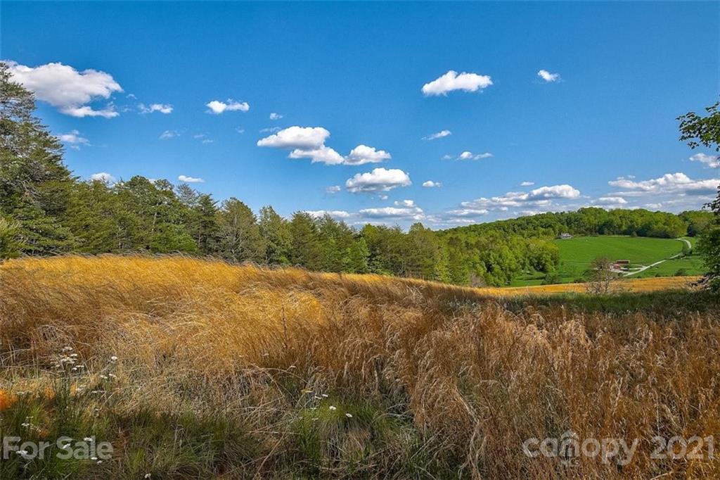 3271 Polk County Line Road Rutherfordton, NC 28139 - Photo 13 of 48 a view of a golf course with a tree