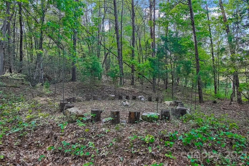 3271 Polk County Line Road Rutherfordton, NC 28139 - Photo 16 of 48 a view of a forest with trees