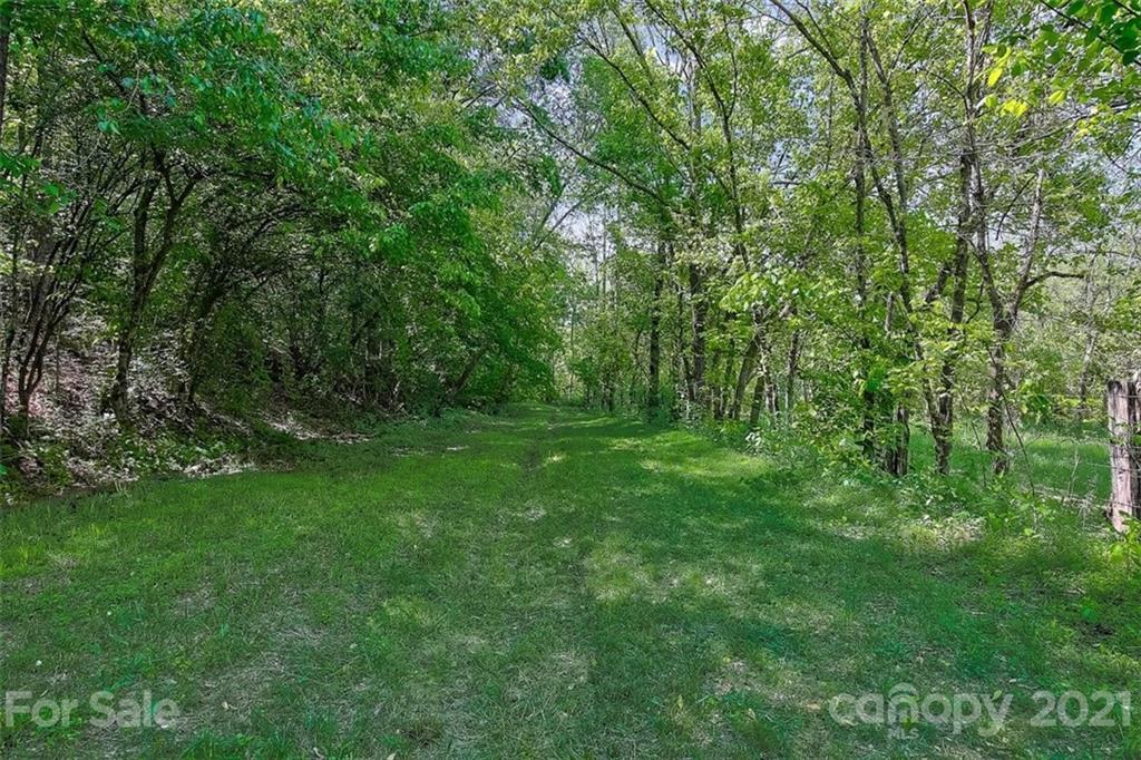 3271 Polk County Line Road Rutherfordton, NC 28139 - Photo 6 of 48 a view of outdoor space and yard