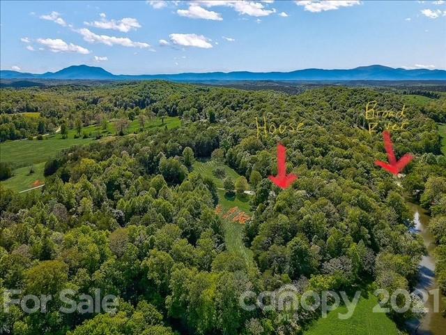 3271 Polk County Line Road Rutherfordton, NC 28139 - Photo 7 of 48 a view of a lush green forest with a building in the background