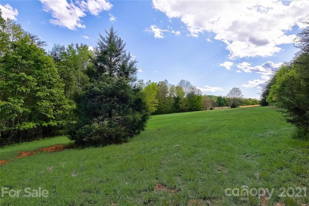 3271 Polk County Line Road Rutherfordton, NC 28139 - Photo 10 of 48 a view of a grassy field with trees