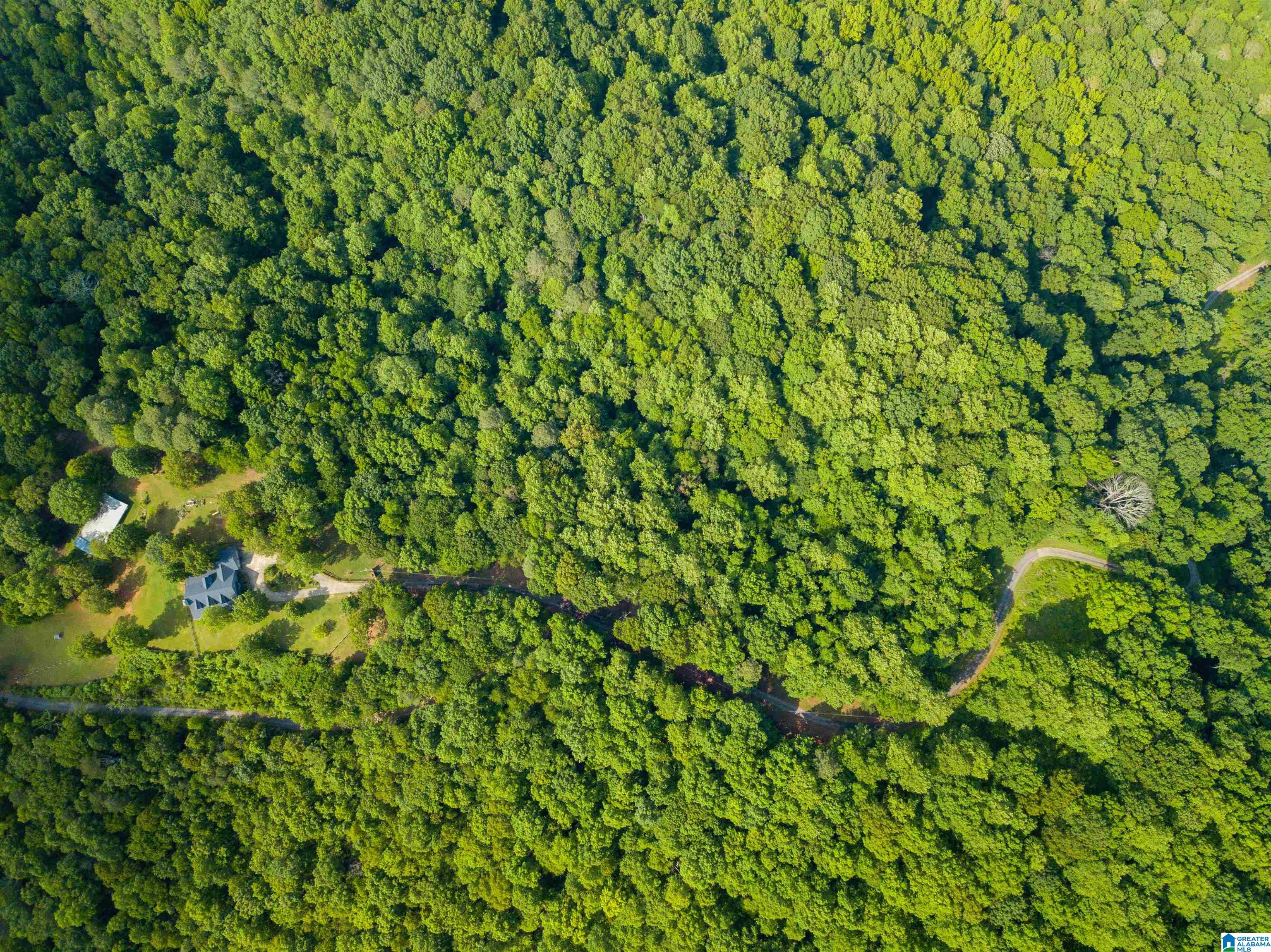 Cliff Road Springville, AL 35146 - Photo 10 of 11