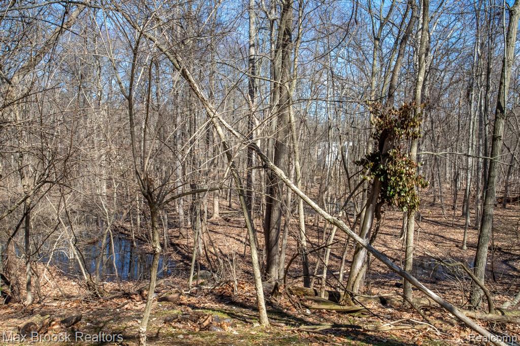 30875 Franklin Road Franklin, MI 48025 - Photo 80 of 86