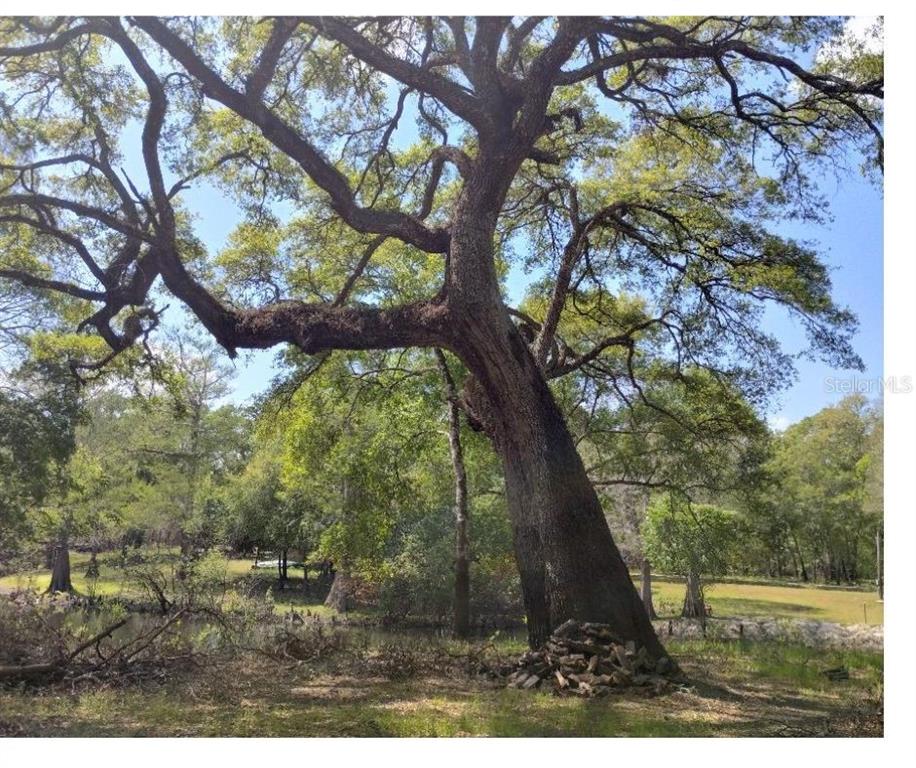 3237 Tiger Street Dade City, FL 33523 - Photo 6 of 6 a view of outdoor space and yard