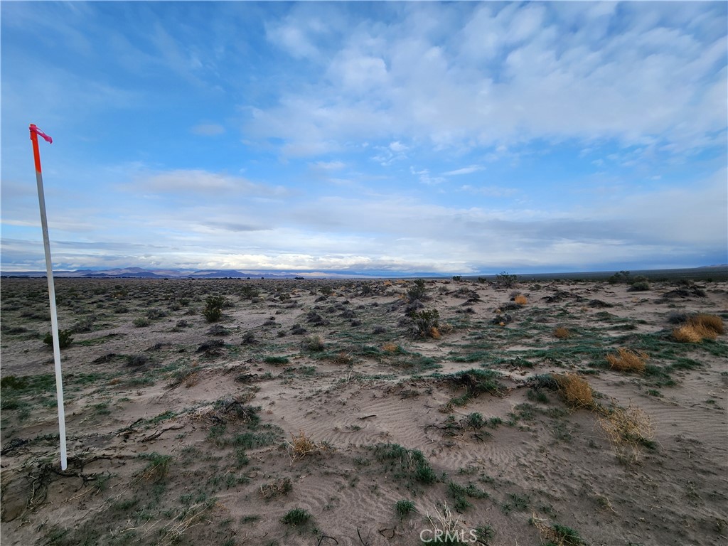40-ac 40-ac Near Center Road Newberry Springs, CA 92365 - Photo 7 of 9 a view of a yard