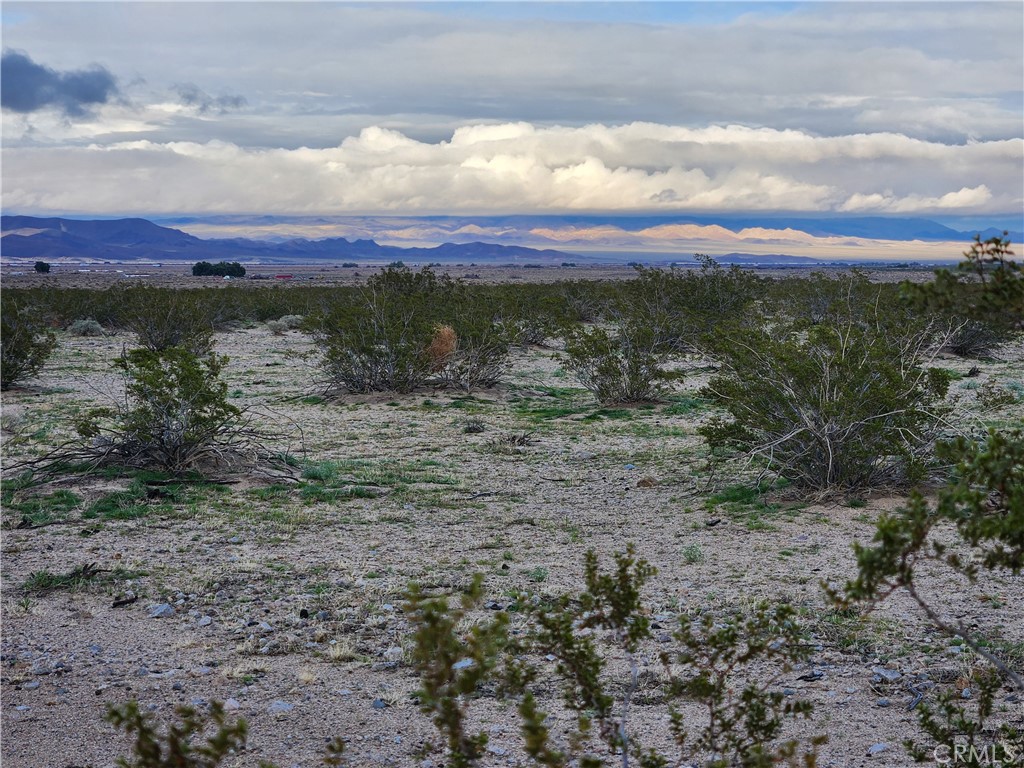 40-ac 40-ac Near Center Road Newberry Springs, CA 92365 - Photo 8 of 9 a view of outdoor space and mountain view