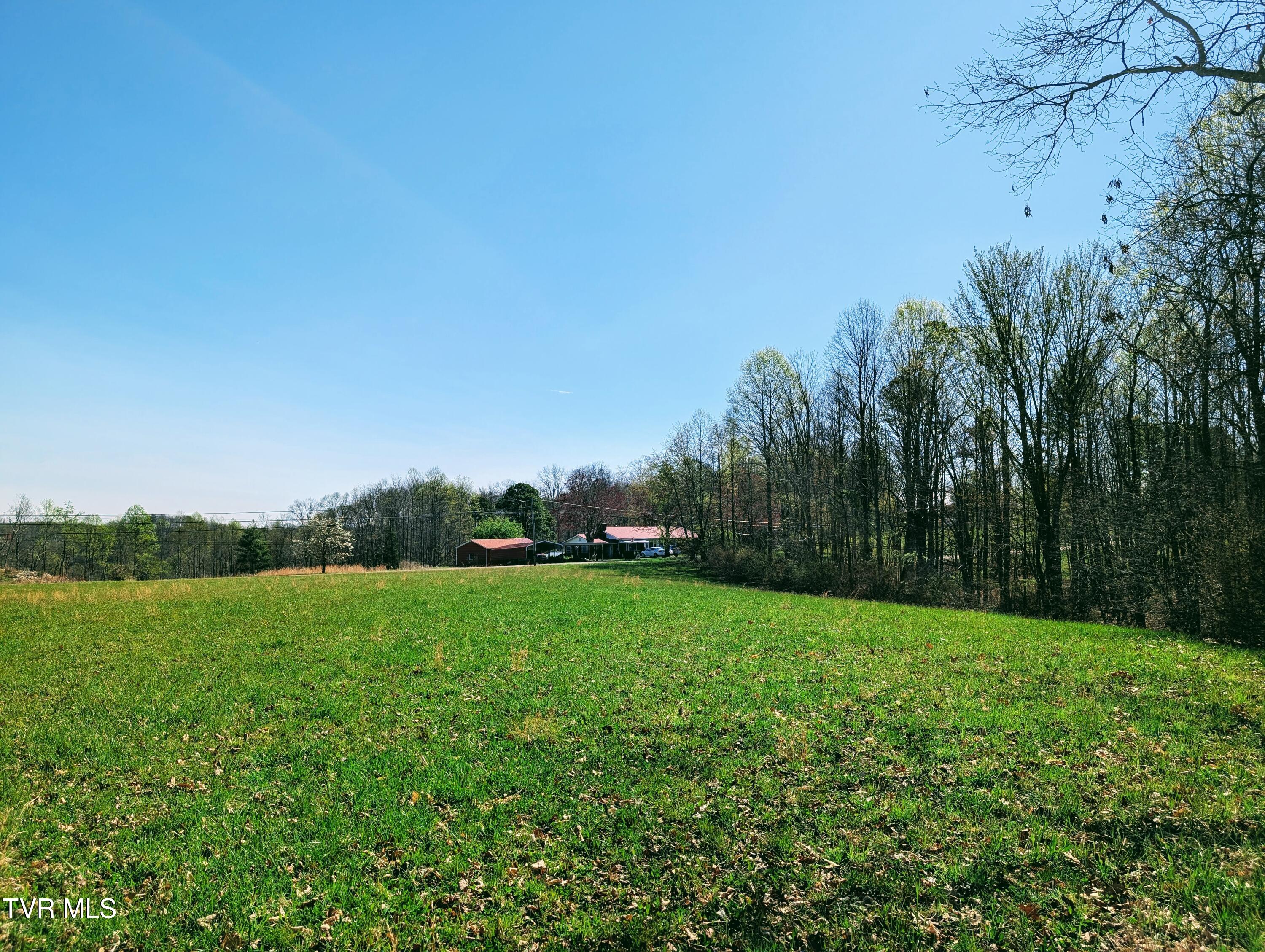 3645 DC Caney Ridge Road Clintwood, VA 24228 - Photo 12 of 54 1000020763