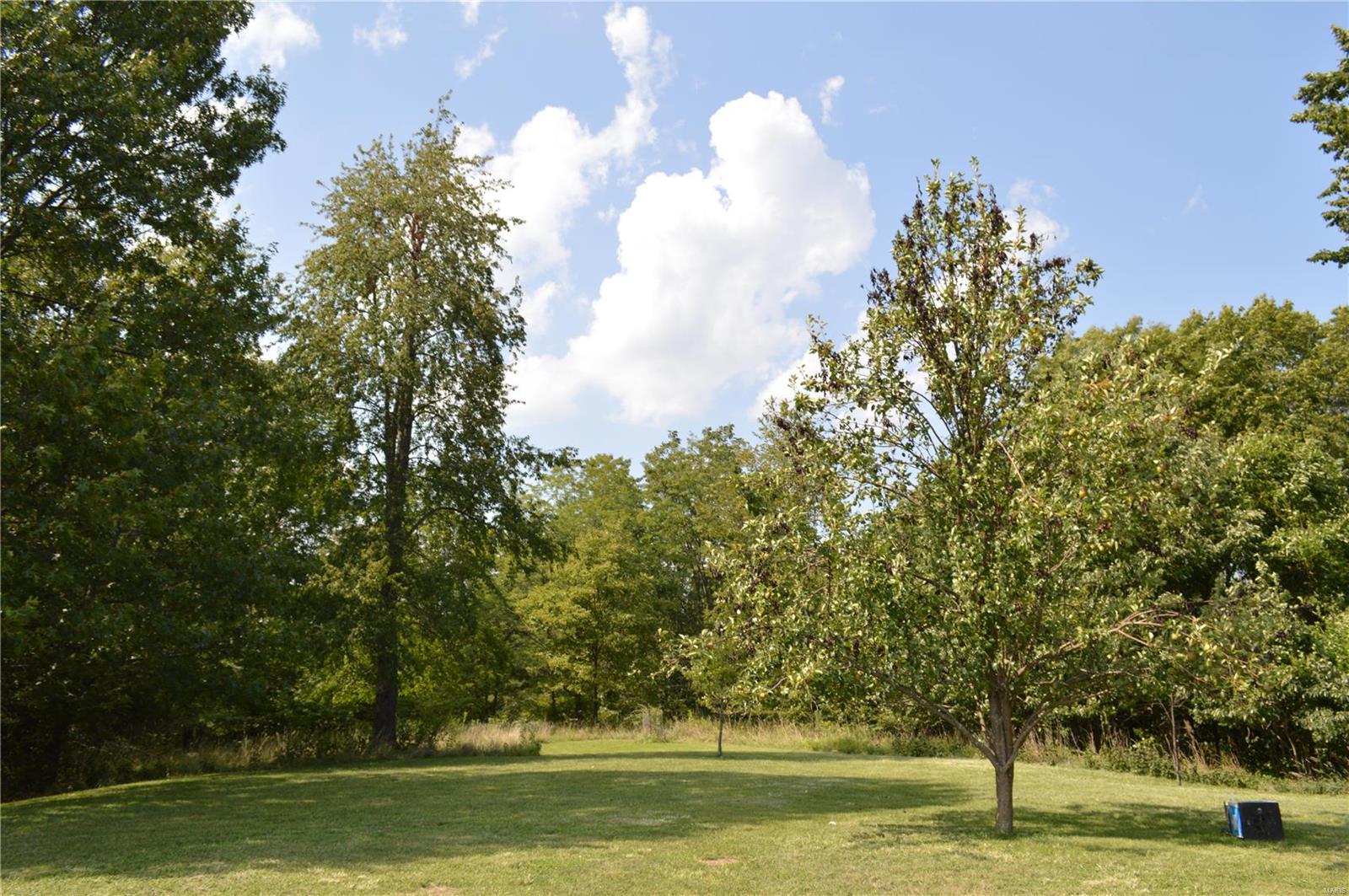 1878 Franklin Hill Road Batchtown, IL 62006 - Photo 29 of 30 Gallery Image 29