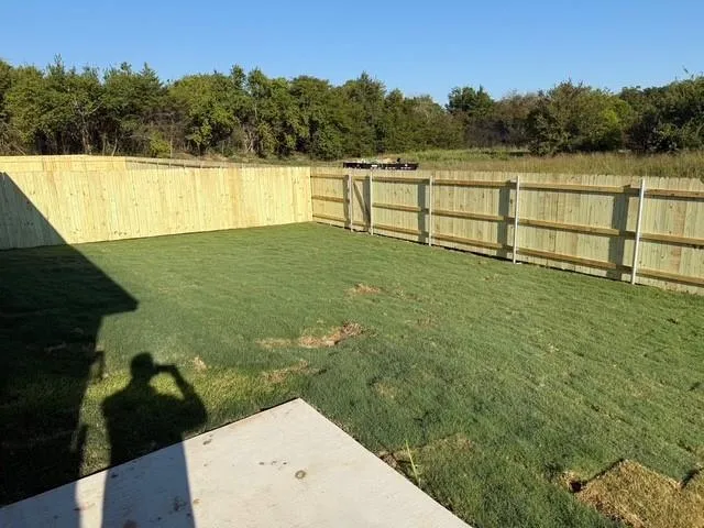 a view of a backyard
