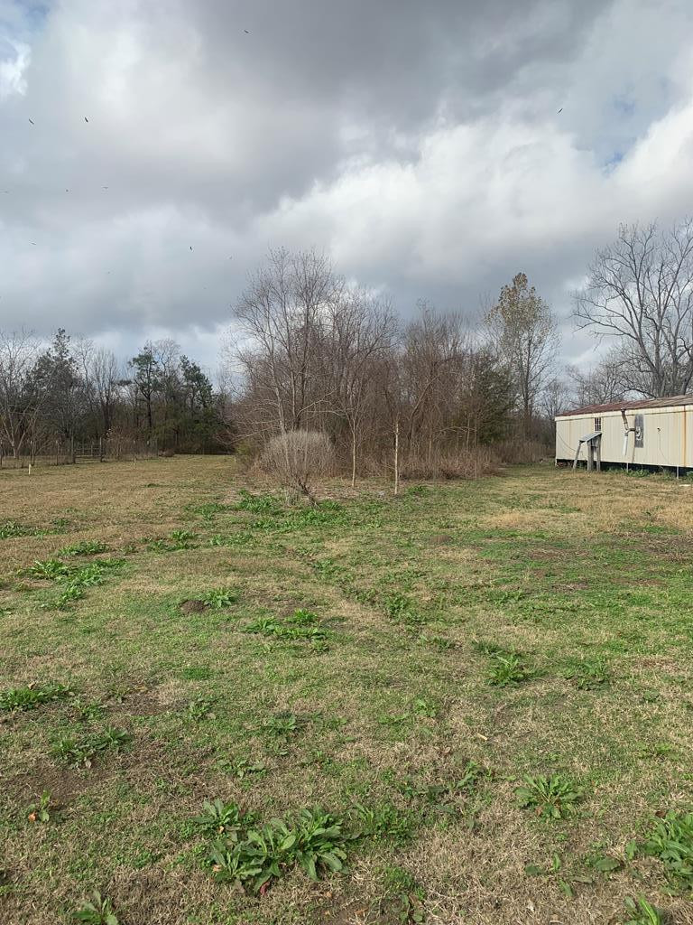 0 Burl Roberts Road Vidalia, LA 71373 - Photo 1 of 4 Main View