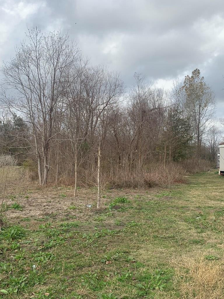 0 Burl Roberts Road Vidalia, LA 71373 - Photo 2 of 4 Photo 2