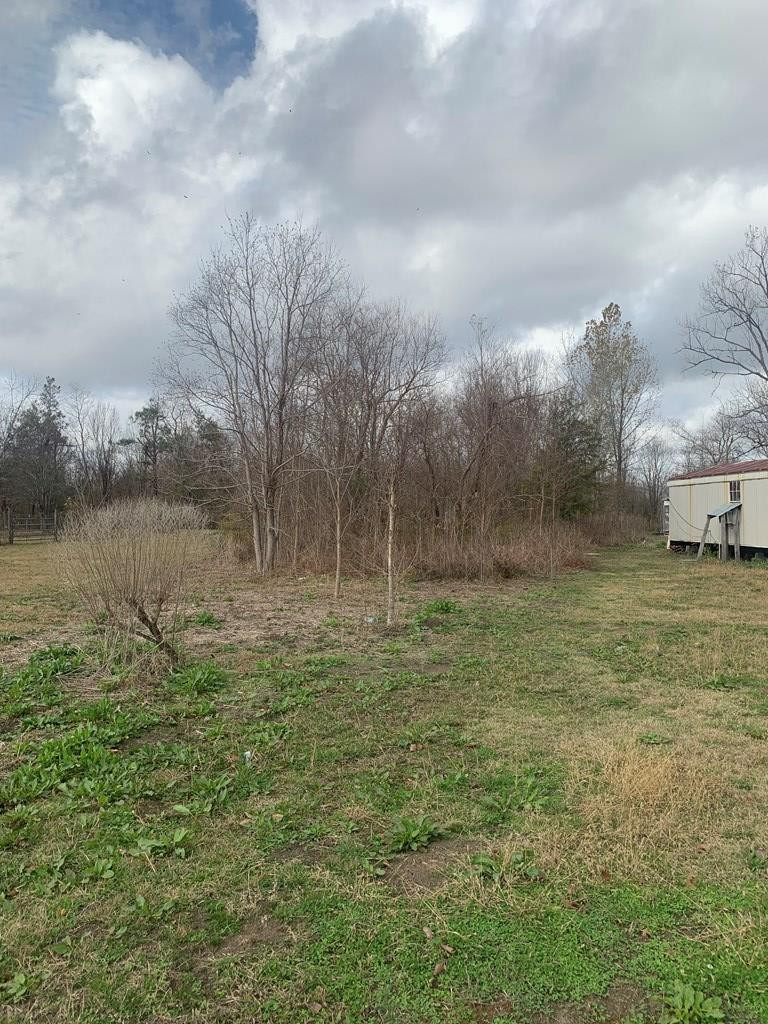 0 Burl Roberts Road Vidalia, LA 71373 - Photo 3 of 4 Photo 3