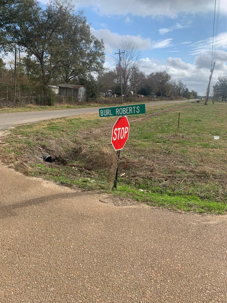 0 Burl Roberts Road Vidalia, LA 71373 - Photo 4 of 4 Photo 4