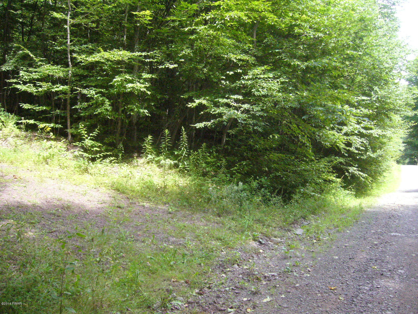 Willoway Road Starlight, PA 18461 - Photo 2 of 9
