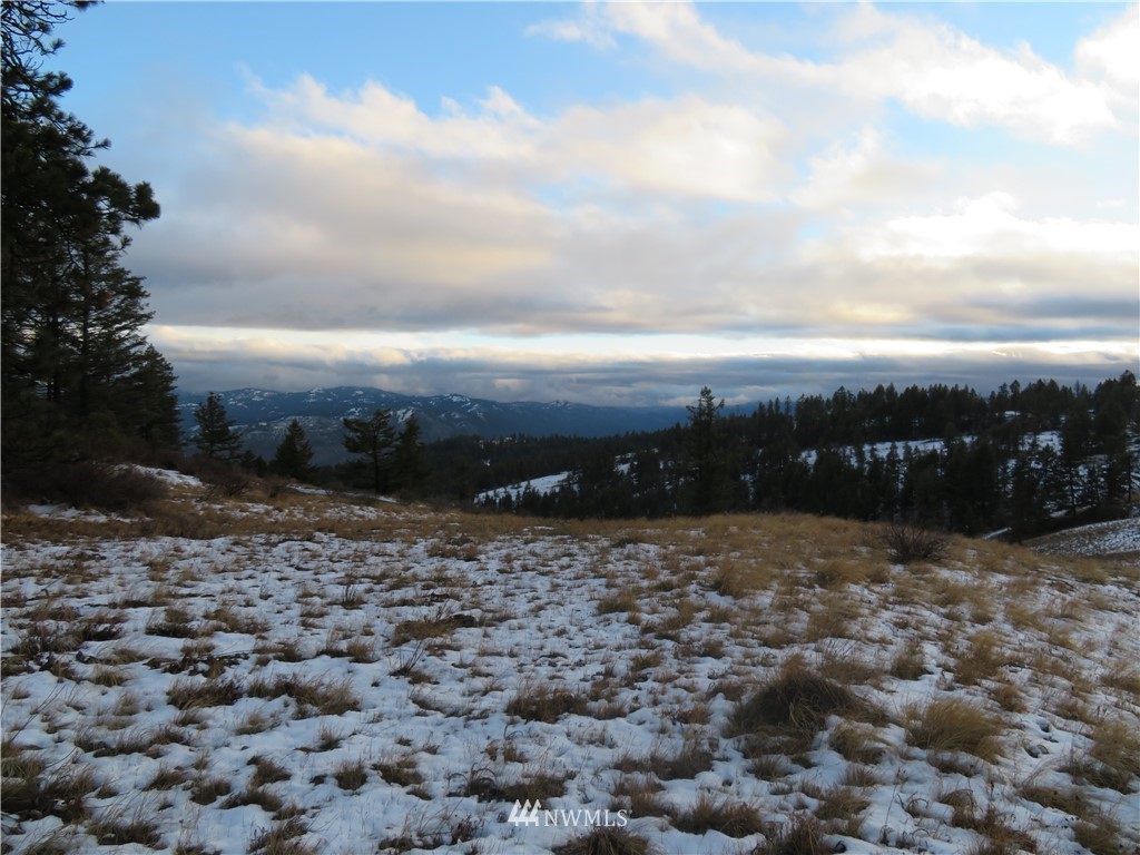 -tbd Union Ridge Road Republic, WA 99166 - Photo 3 of 12