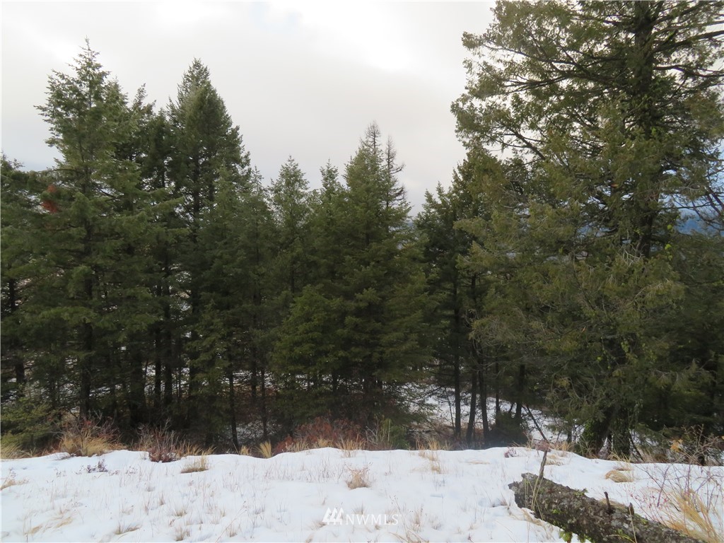 -tbd Union Ridge Road Republic, WA 99166 - Photo 8 of 12