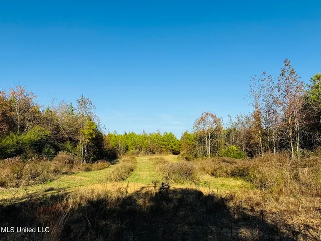 $136,125 | 4210 Attala County Road, Sallis, MS 39160