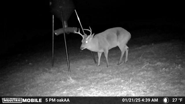 4210 Attala County Road Sallis, MS 39160 - Photo 11 of 52 8