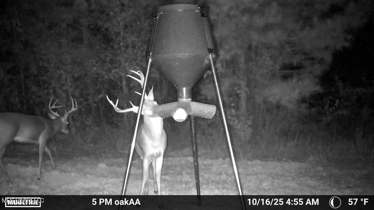 4210 Attala County Road Sallis, MS 39160 - Photo 12 of 52 9