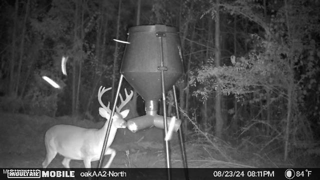 4210 Attala County Road Sallis, MS 39160 - Photo 13 of 52 IMG_7434