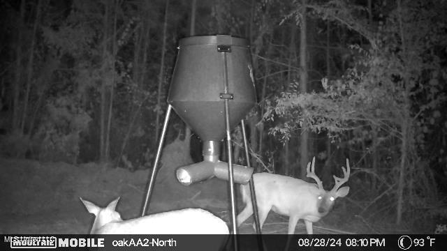 4210 Attala County Road Sallis, MS 39160 - Photo 15 of 52 IMG_7594