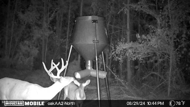 4210 Attala County Road Sallis, MS 39160 - Photo 16 of 52 IMG_7605