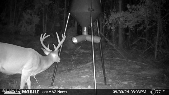 4210 Attala County Road Sallis, MS 39160 - Photo 17 of 52 IMG_7621