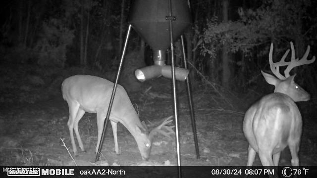 4210 Attala County Road Sallis, MS 39160 - Photo 18 of 52 IMG_7622