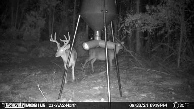 4210 Attala County Road Sallis, MS 39160 - Photo 19 of 52 IMG_7624