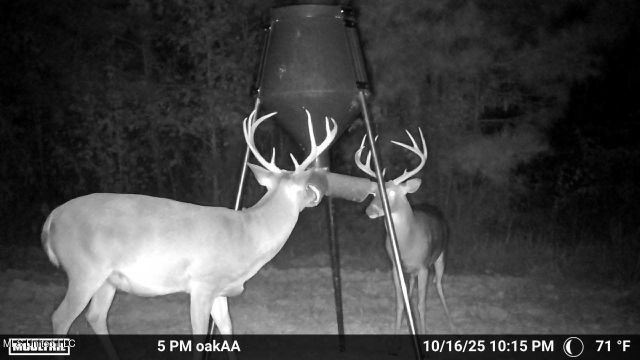 4210 Attala County Road Sallis, MS 39160 - Photo 2 of 52 1