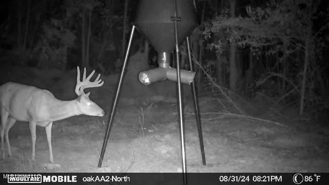 $136,125 | 4210 Attala County Road, Sallis, MS 39160