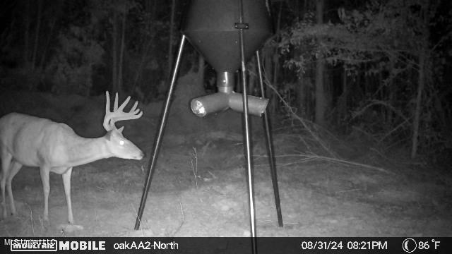 4210 Attala County Road Sallis, MS 39160 - Photo 21 of 52 IMG_7632