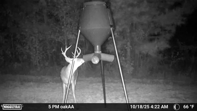 $136,125 | 4210 Attala County Road, Sallis, MS 39160