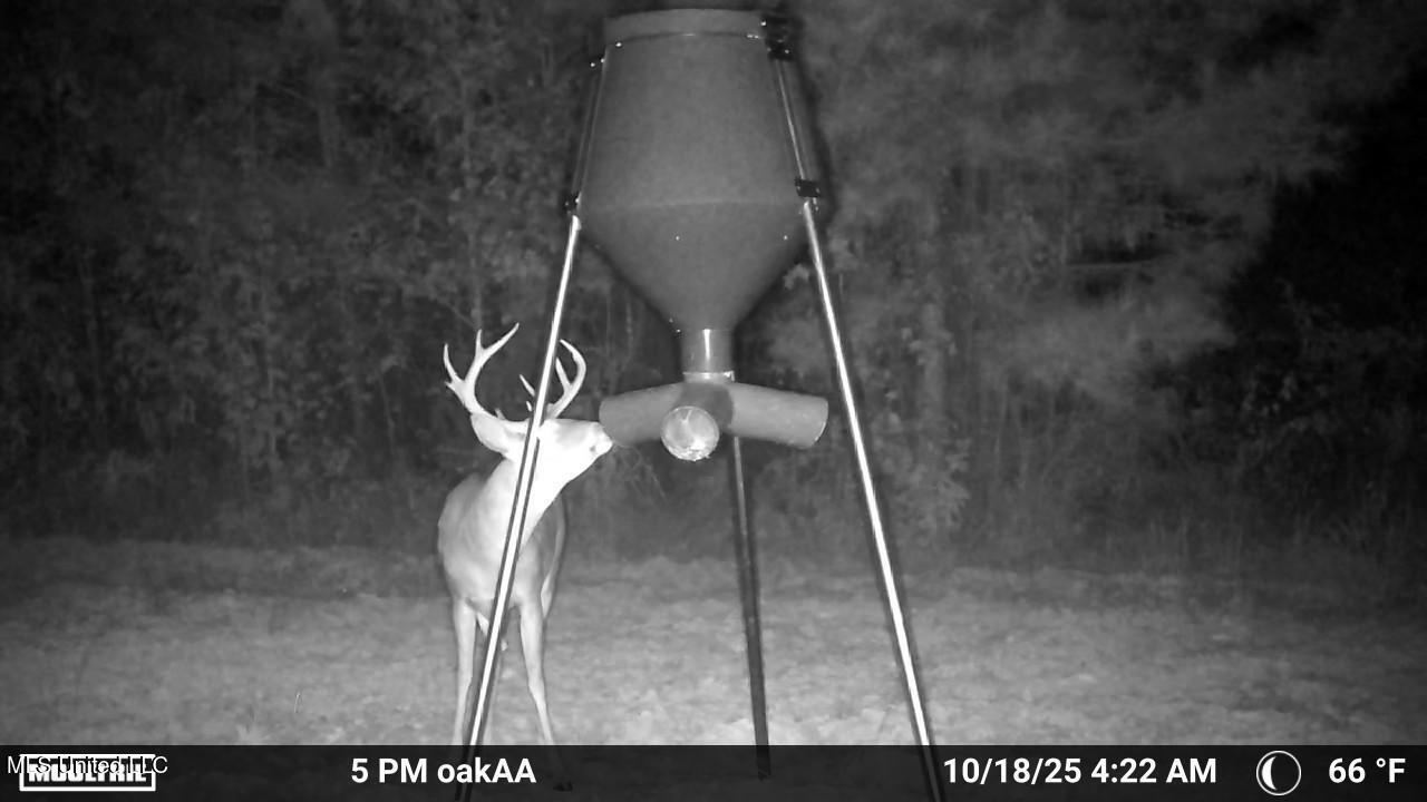 4210 Attala County Road Sallis, MS 39160 - Photo 23 of 52 IMG_9799