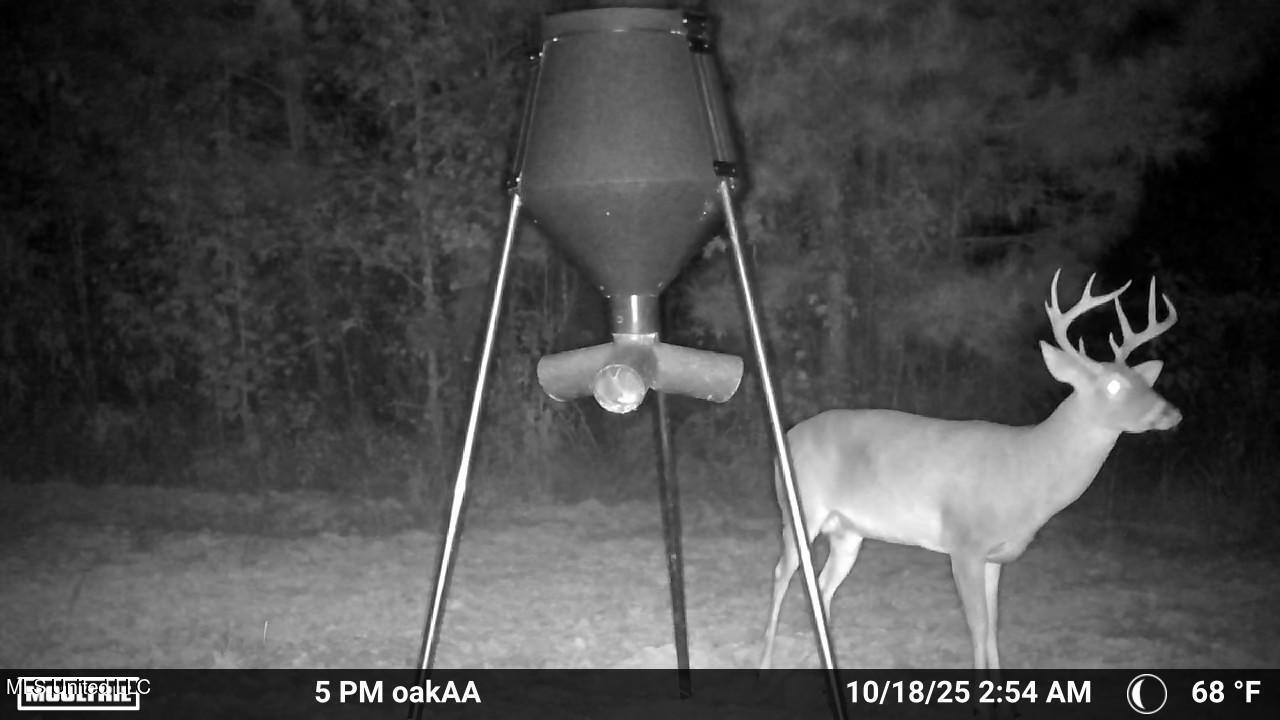 4210 Attala County Road Sallis, MS 39160 - Photo 24 of 52 IMG_9801