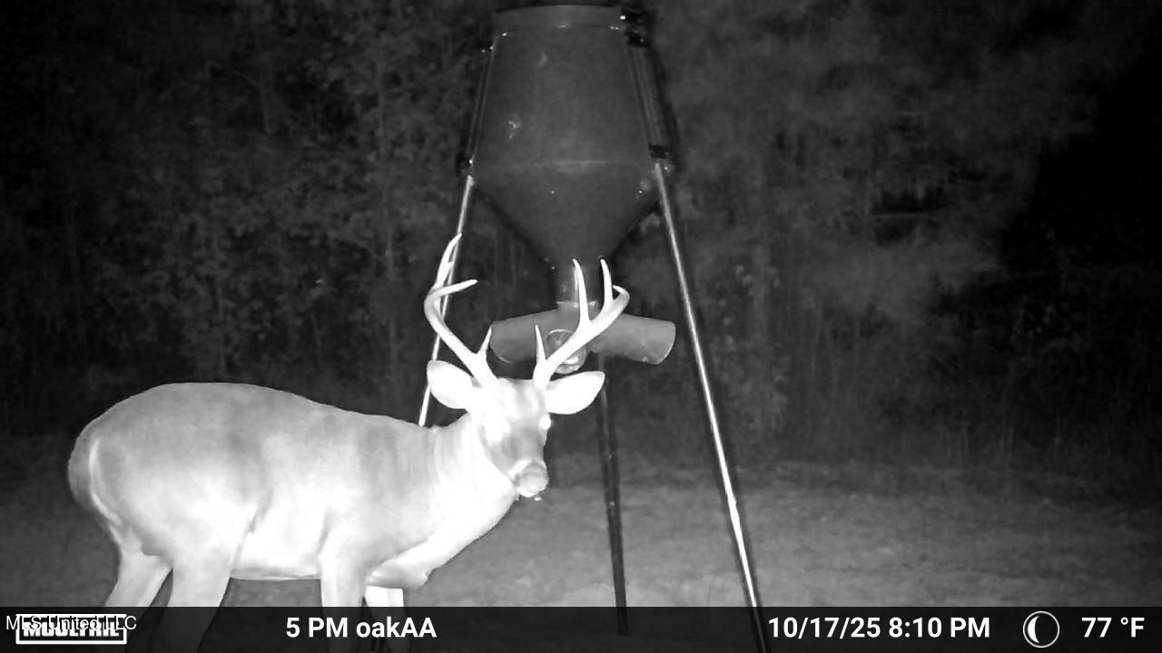 4210 Attala County Road Sallis, MS 39160 - Photo 25 of 52 IMG_9802