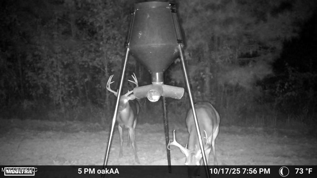 4210 Attala County Road Sallis, MS 39160 - Photo 26 of 52 IMG_9803