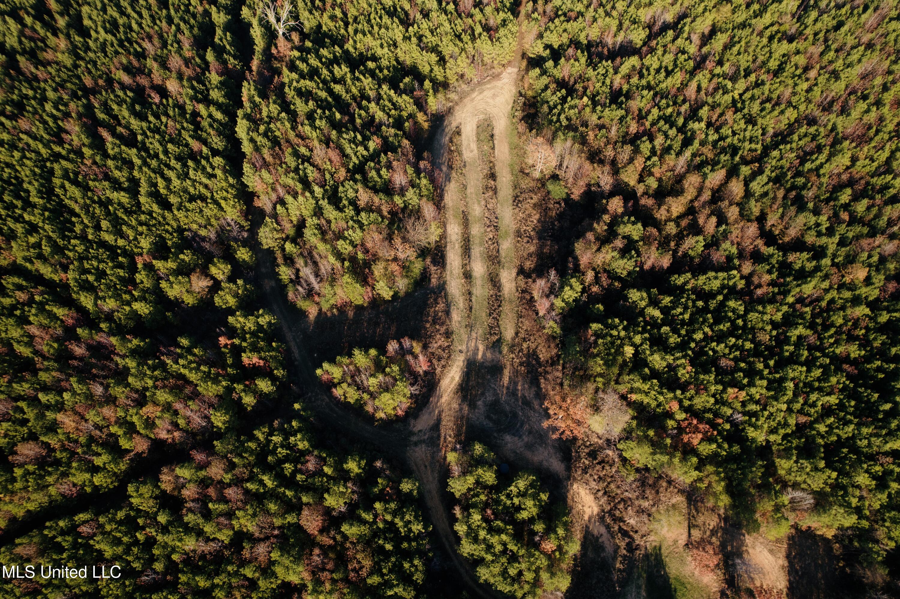 4210 Attala County Road Sallis, MS 39160 - Photo 29 of 52 3