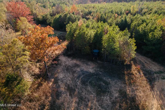 $136,125 | 4210 Attala County Road, Sallis, MS 39160