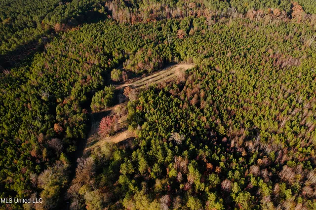 $136,125 | 4210 Attala County Road, Sallis, MS 39160