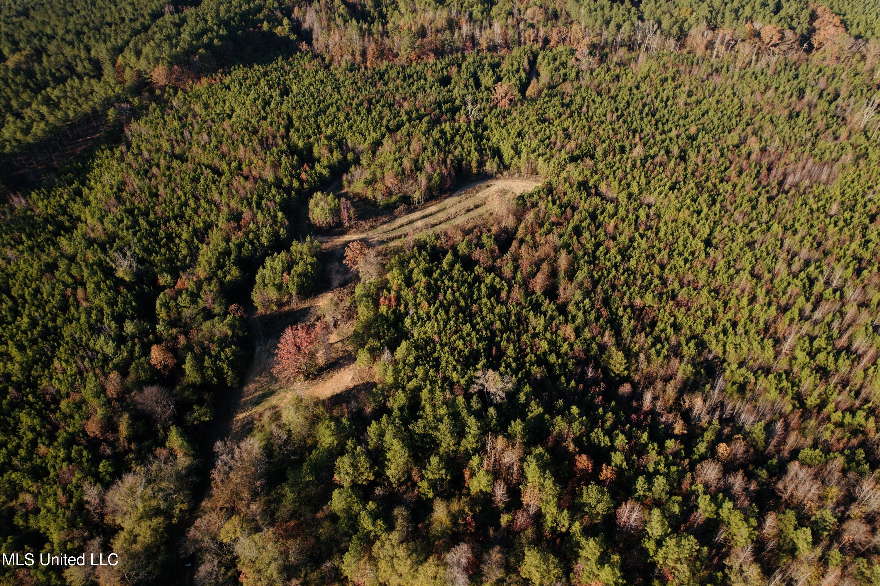 4210 Attala County Road Sallis, MS 39160 - Photo 3 of 52 2