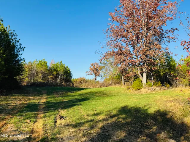 $136,125 | 4210 Attala County Road, Sallis, MS 39160