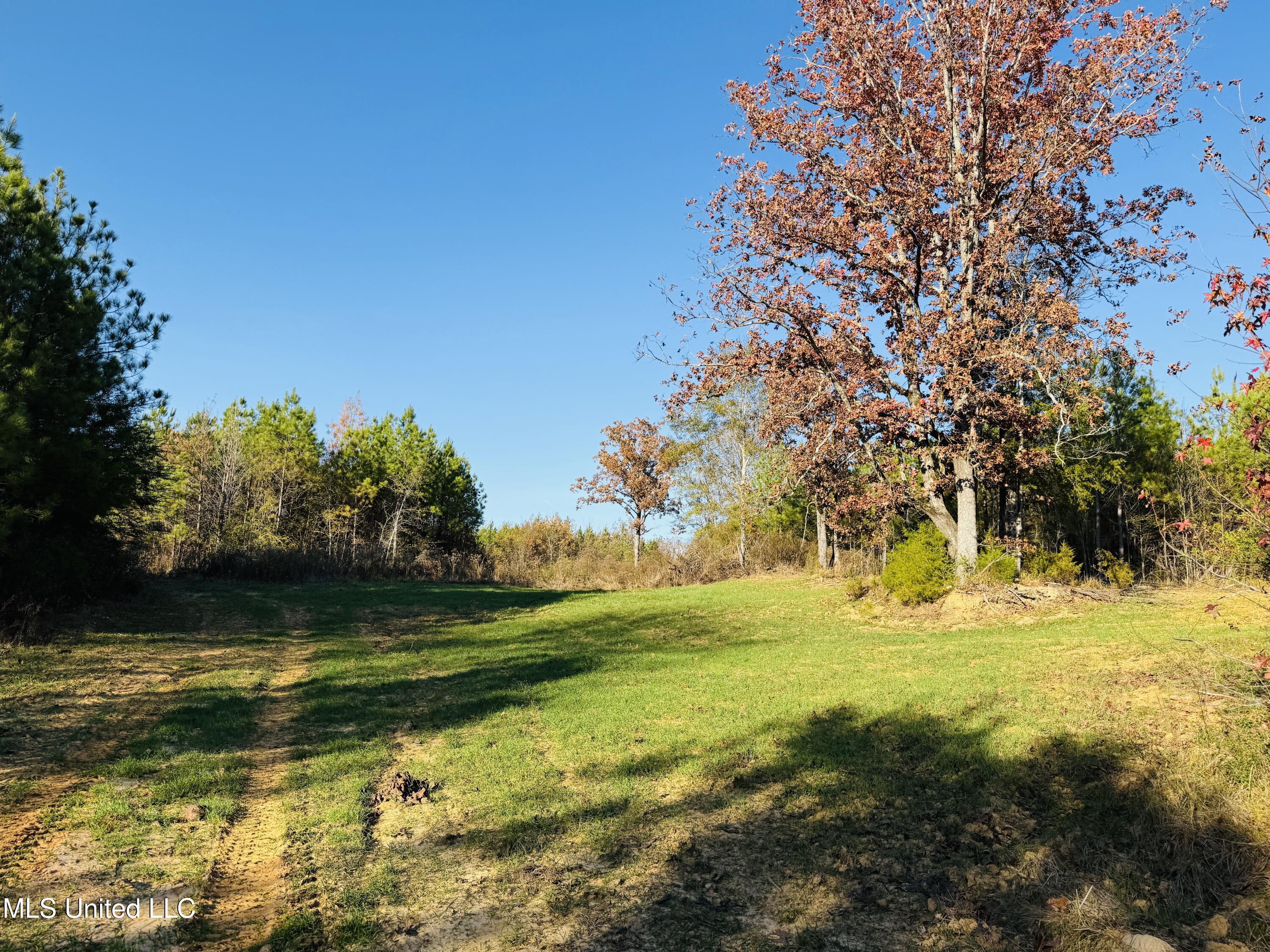 4210 Attala County Road Sallis, MS 39160 - Photo 31 of 52 5