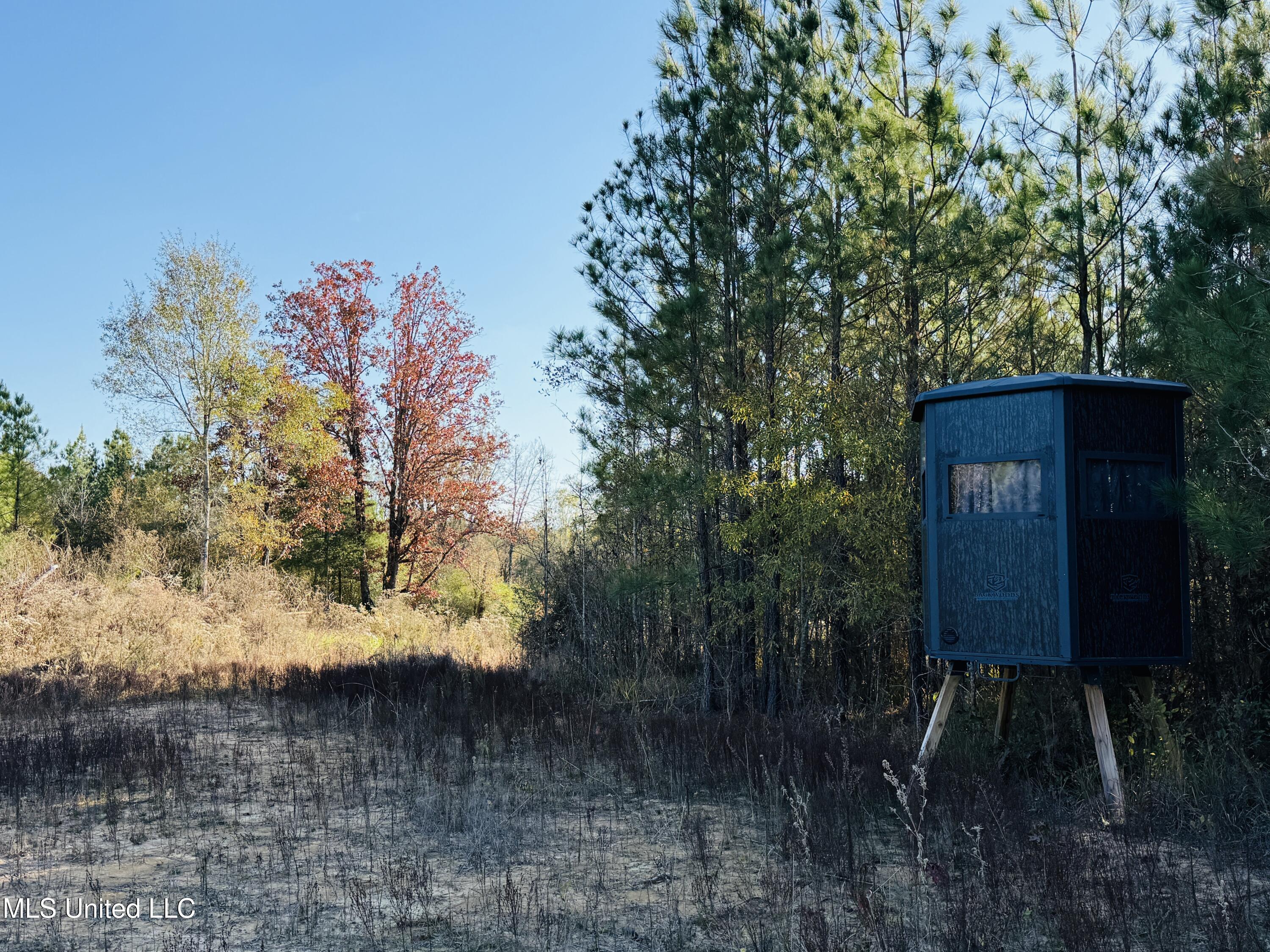 4210 Attala County Road Sallis, MS 39160 - Photo 32 of 52 6