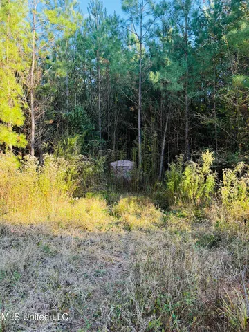 $136,125 | 4210 Attala County Road, Sallis, MS 39160