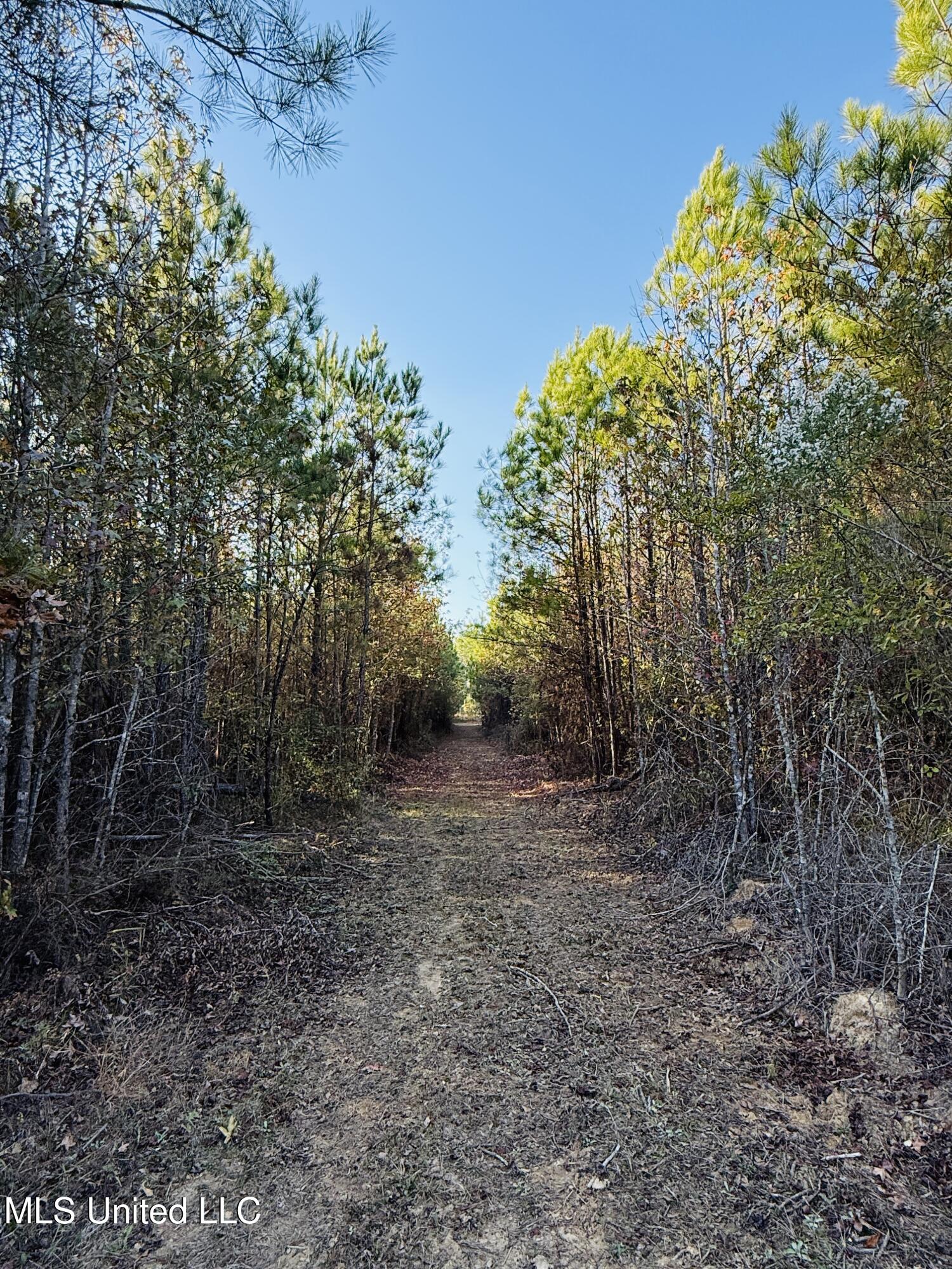 4210 Attala County Road Sallis, MS 39160 - Photo 34 of 52 IMG_9618