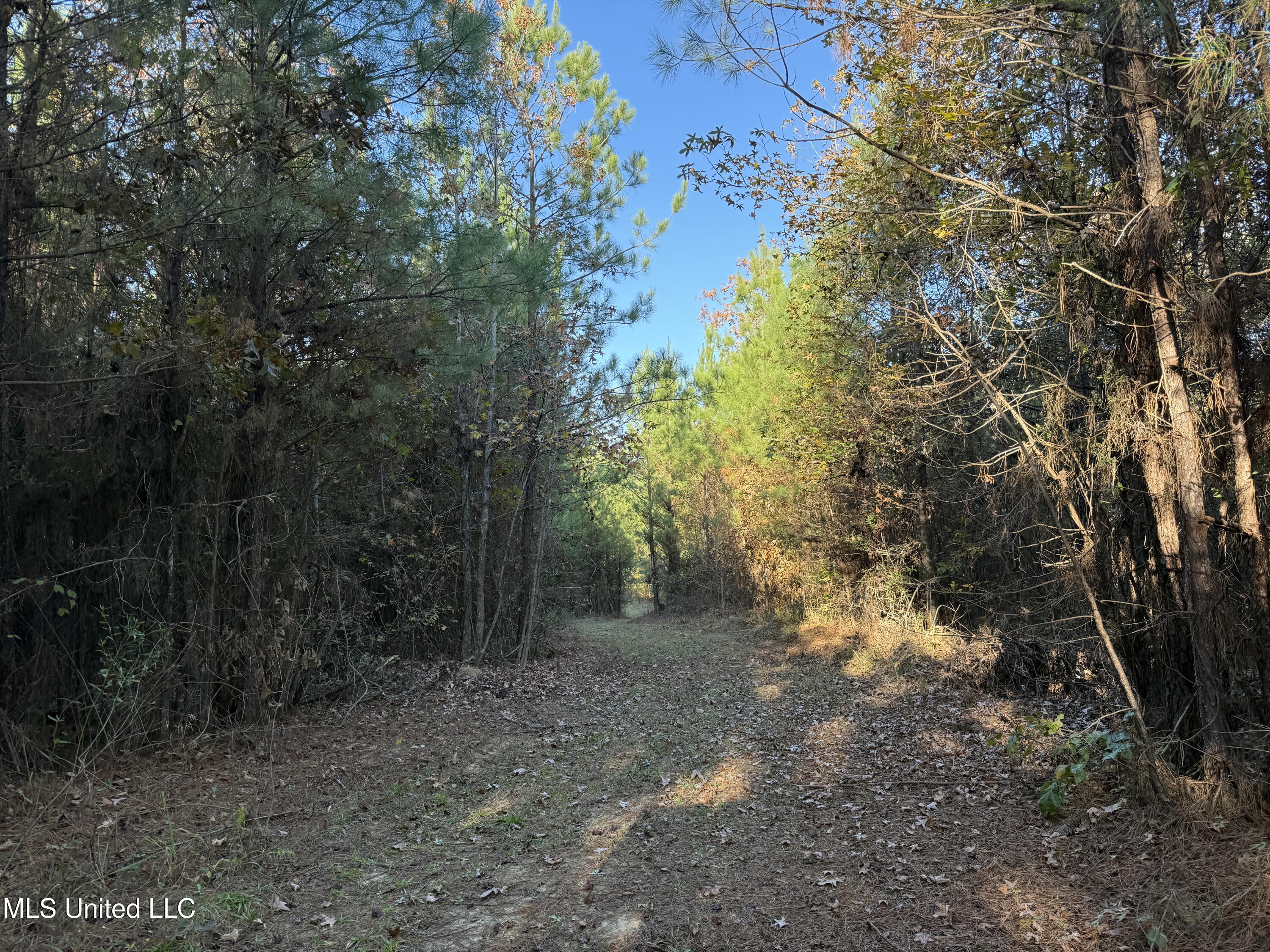 4210 Attala County Road Sallis, MS 39160 - Photo 35 of 52 IMG_9619