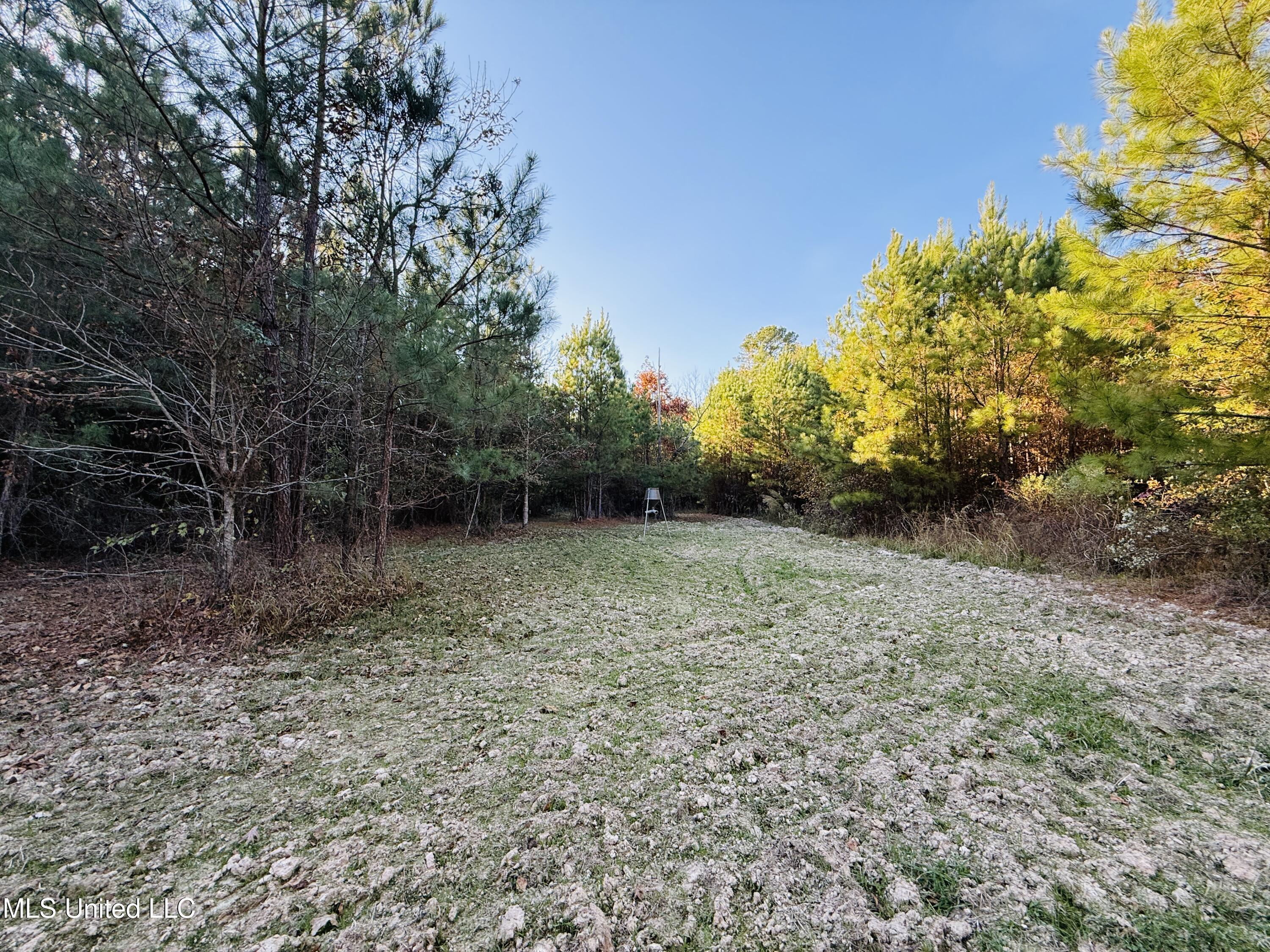 4210 Attala County Road Sallis, MS 39160 - Photo 36 of 52 IMG_9621
