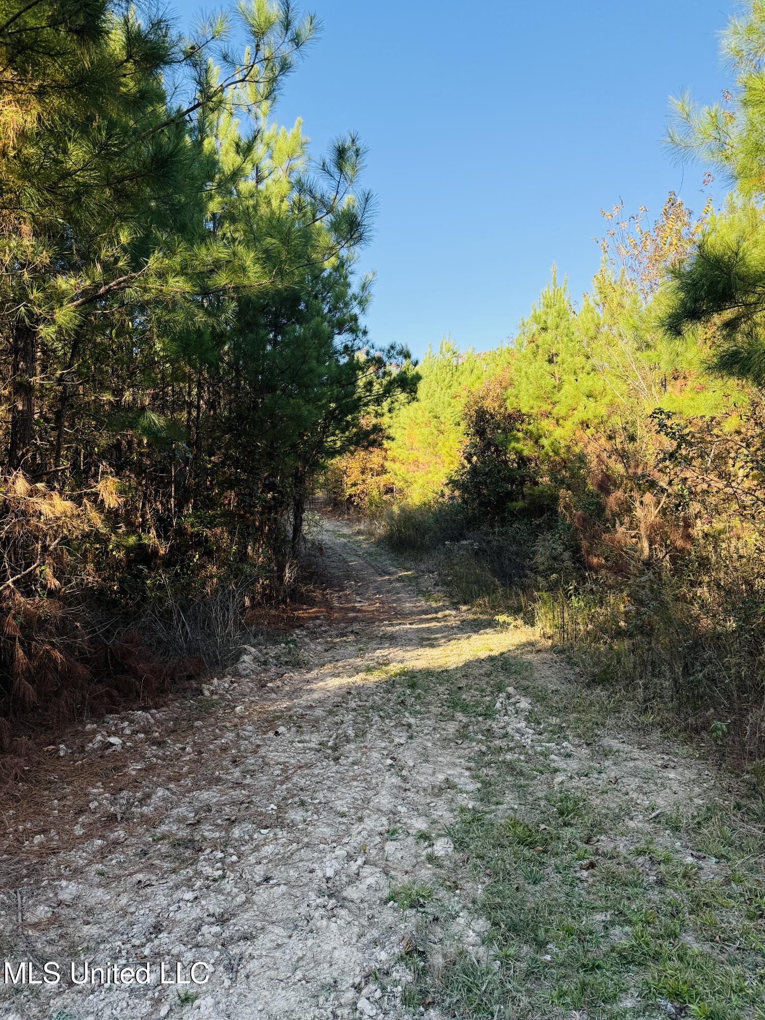 4210 Attala County Road Sallis, MS 39160 - Photo 37 of 52 IMG_9622